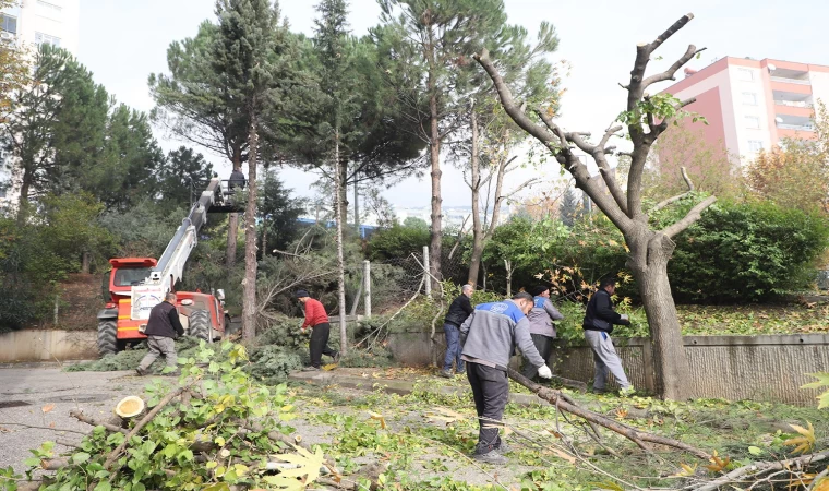 Dulkadiroğlu’nda Park ve Bahçeler Kışa Hazırlanıyor