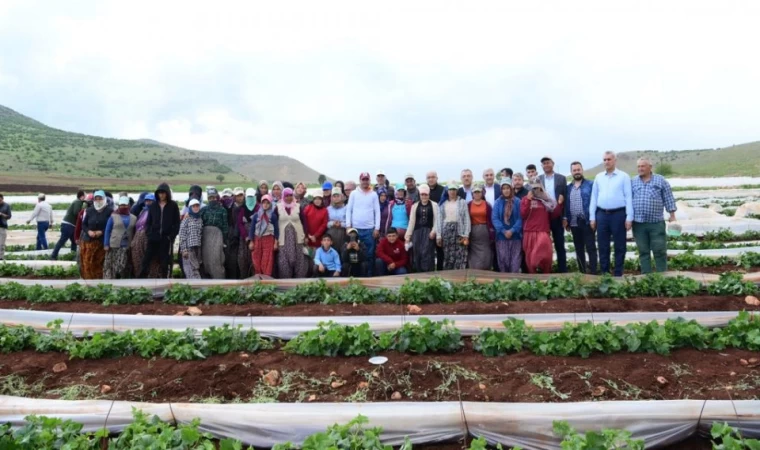 “Tüm Sektörlerimizi Ayağa Kaldırıyoruz”