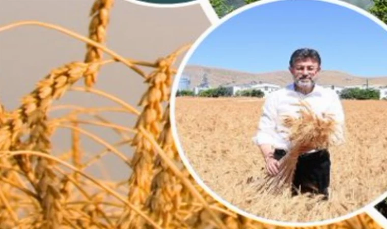Üretici çiftçiye 11,2 milyar TL’lik destek