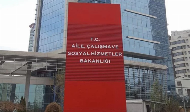Aile’den kamuya 491 atama