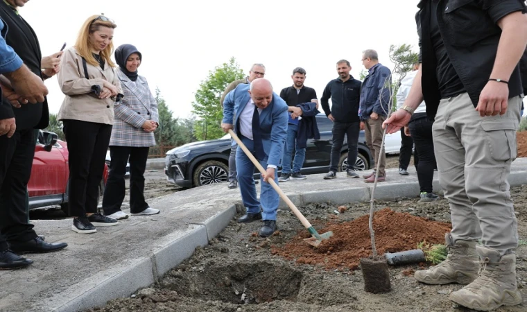 Karacasu Kampüsü Ağaçlandırıldı