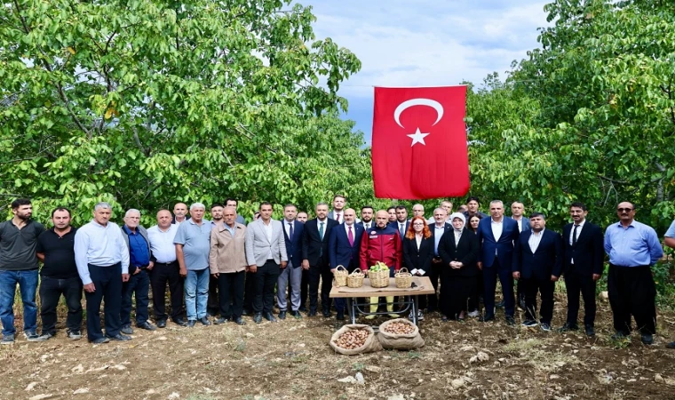 Başkan Toptaş, AB tescilli cevizlerin hasat şenliğine katıldı