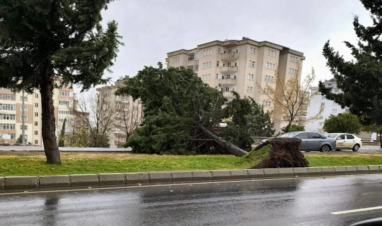 Kahramanmaraş’taki Fırtına Saatte 95 Kilometre Hıza Ulaştı