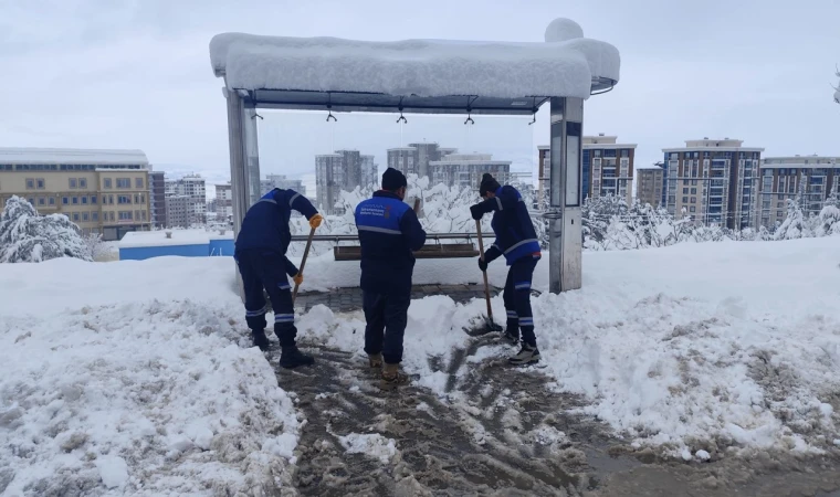 Büyükşehir, Yürüyüş Yollarını da Temizliyor