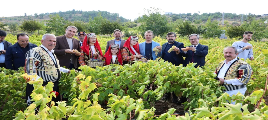 Bertiz’de Üzümler Toplandı, Gelenek Yaşatıldı
