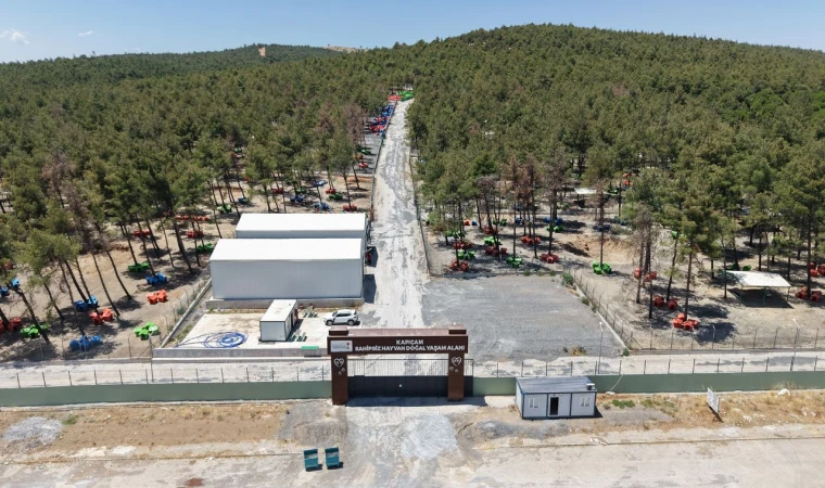 Büyükşehir ve Sahipsiz Hayvanları Koruma Birliği’nden 5 Binin Üzerinde Can Dostuna Güvenli Yaşam Alanı