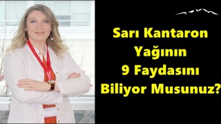Sarı Kantaron Yağının 9 Faydasını Biliyor Musunuz?