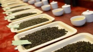 Rize’de Çay Üreticilerine ’butik’ Eğitim