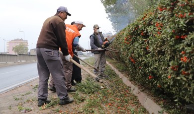 Dulkadiroğlu Belediyesi Ekipleri Park ve Bahçelerde Bakım Çalışması Yaptı