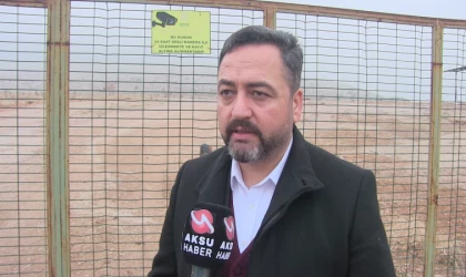 Ruhsatı alınan barınakta, 200 köpek kısırlaştırıldı