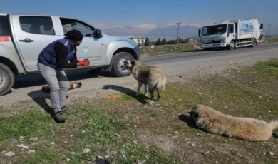 Manisa Kahramanmaraş’ta da can dostlarını unutmadı