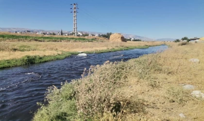Aksu Çayı halen zehir saçıyor 