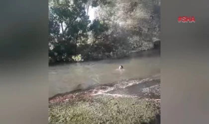 Kahramanmaraş’a tatil için geldi serinlemek için girdiği suda hayatını kaybetti 