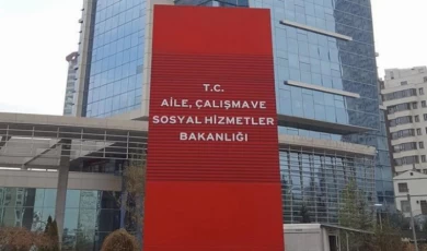 Aile’den kamuya 491 atama