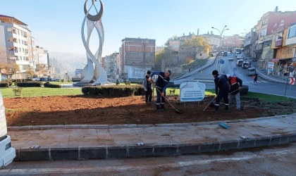 Büyükşehir, Kent Estetiği İçin Sahada