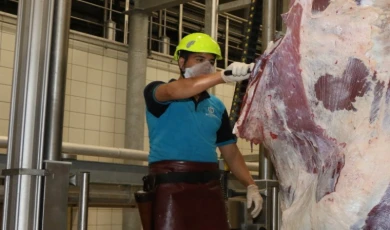 Çevreye atılan et ve kemikler halk sağlığını tehdit ediyor