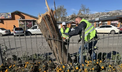 Büyükşehir, Fırtınanın Oluşturduğu Tahribatı Ortadan Kaldırıyor
