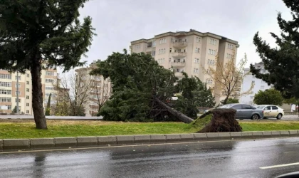 Kahramanmaraş’taki Fırtına Saatte 95 Kilometre Hıza Ulaştı
