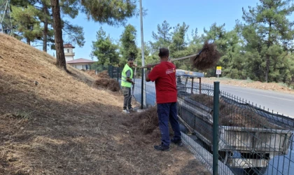 Parklar Temizleniyor, Doğa Yeniden Nefes Alıyor