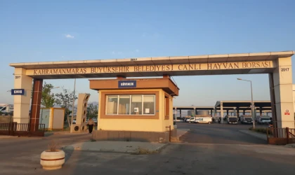 Canlı Hayvan Pazarı Açıldı