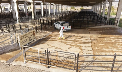 Büyükşehir’den Canlı Hayvan Pazarı’nda Halk Sağlığı İçin Kapsamlı Çalışma