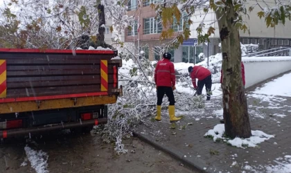 Yoğun Kar Yağışıyla Kırılan Ağaç Dallarına Hızlı Müdahale
